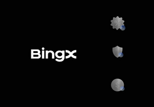 Cartão BingX